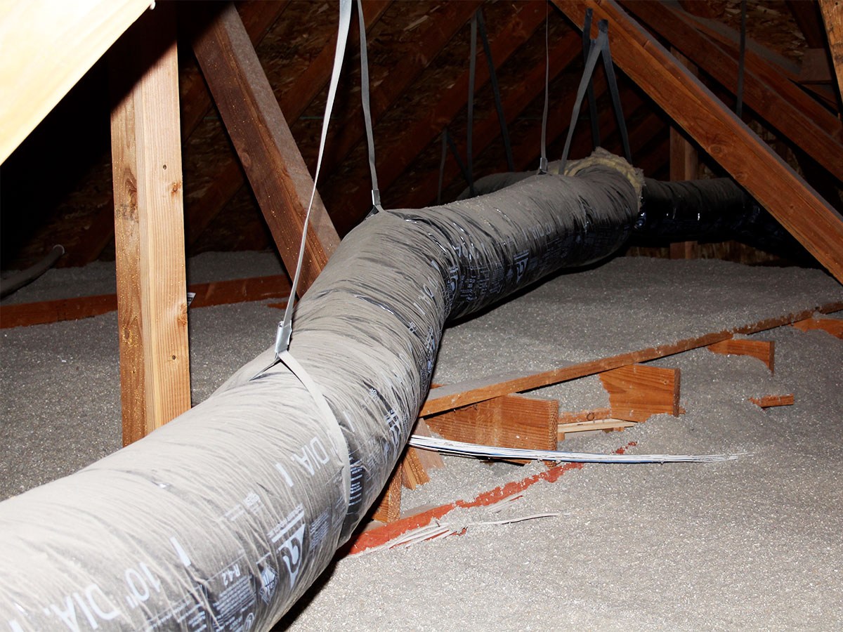 Check forced air ducts in the attic