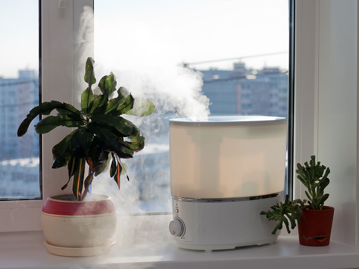 Clean and store humidifiers