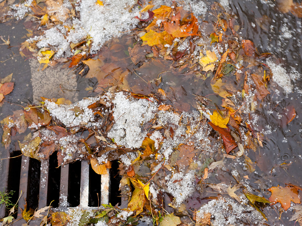 Make sure exterior drains are not clogged