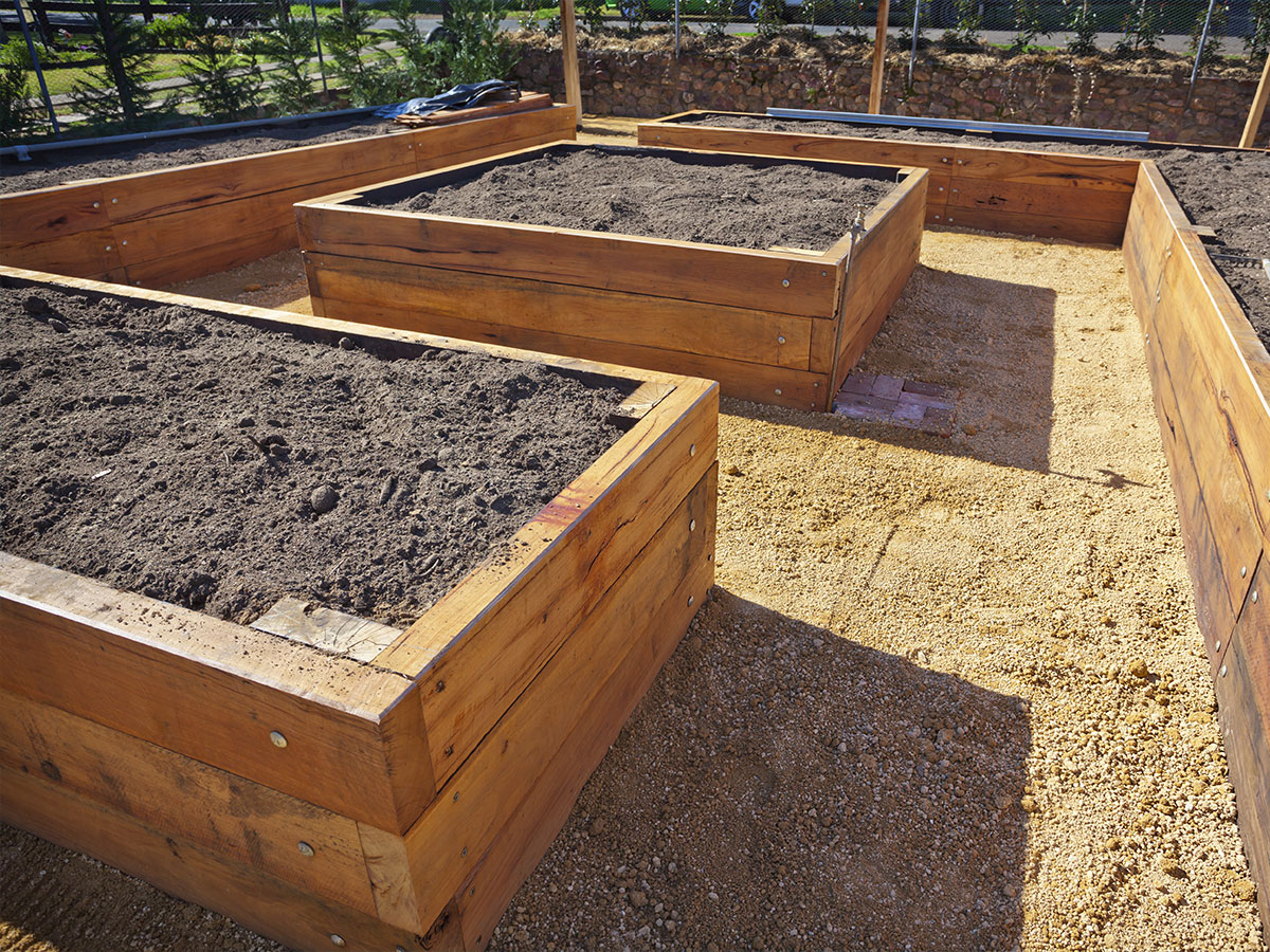 Prepare garden beds for planting