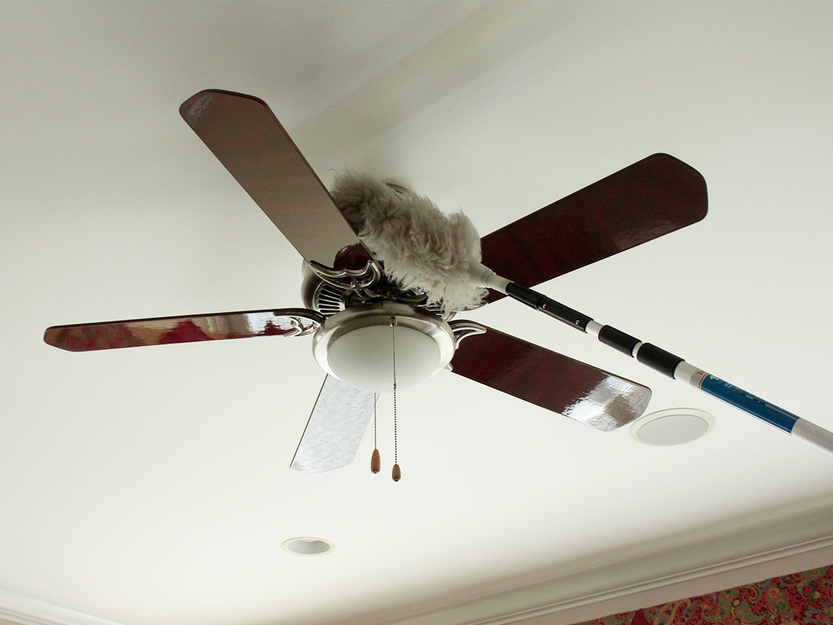 Wipe and dust ceiling fans and portable fans