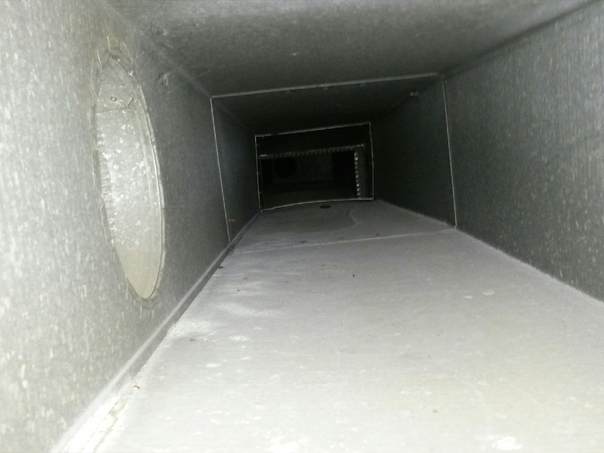 Clean out your air ducts