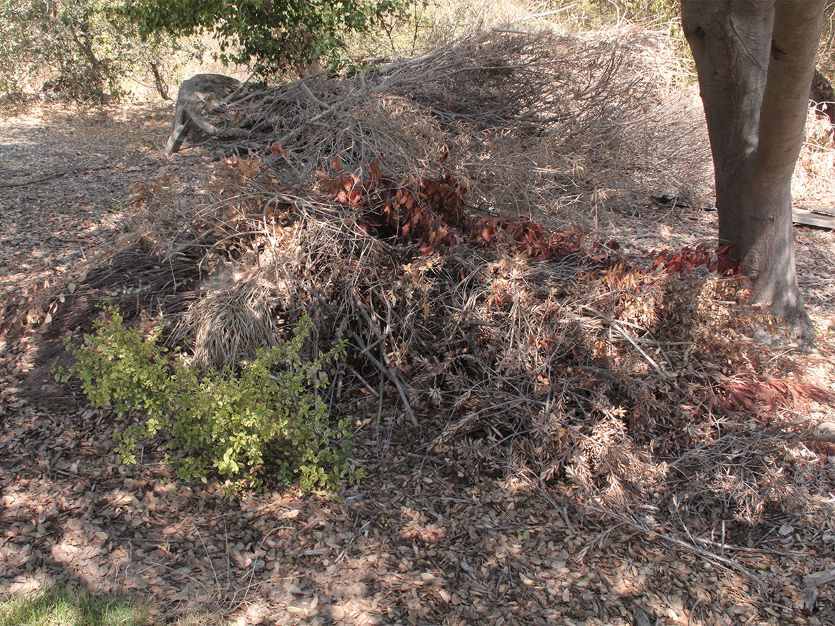 Create a compost pile for your leaves