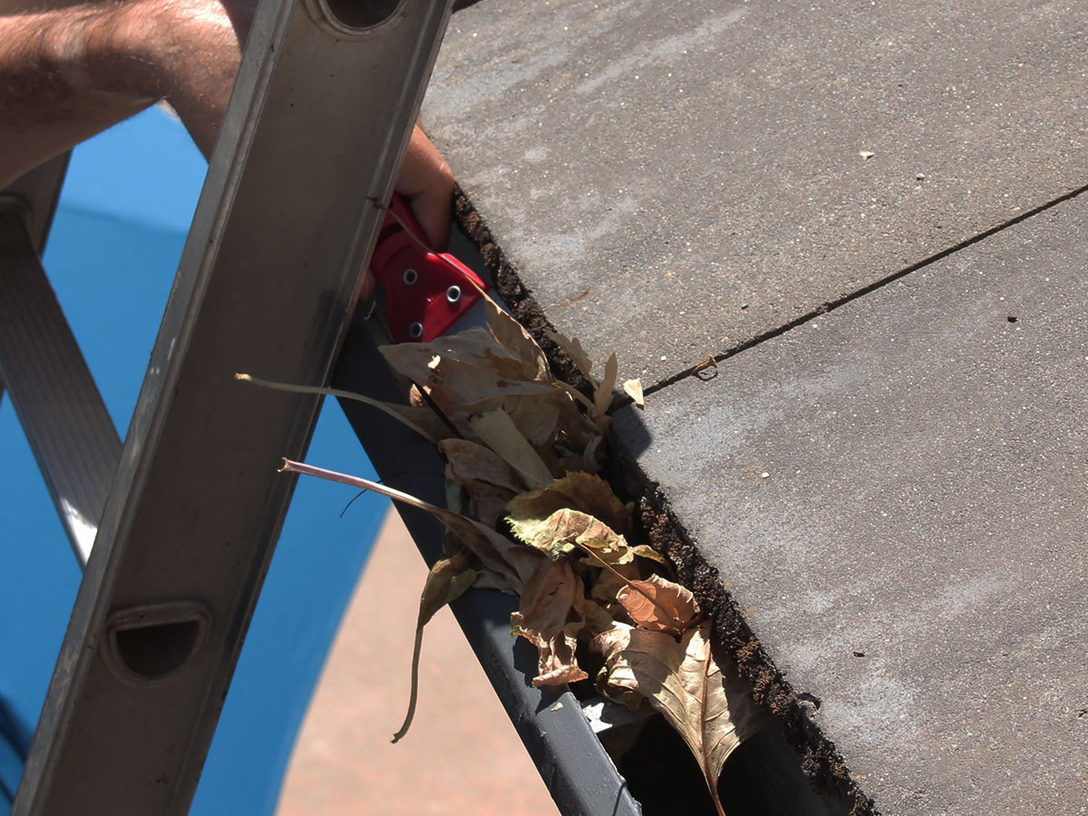 Remove debris from gutters and downspouts