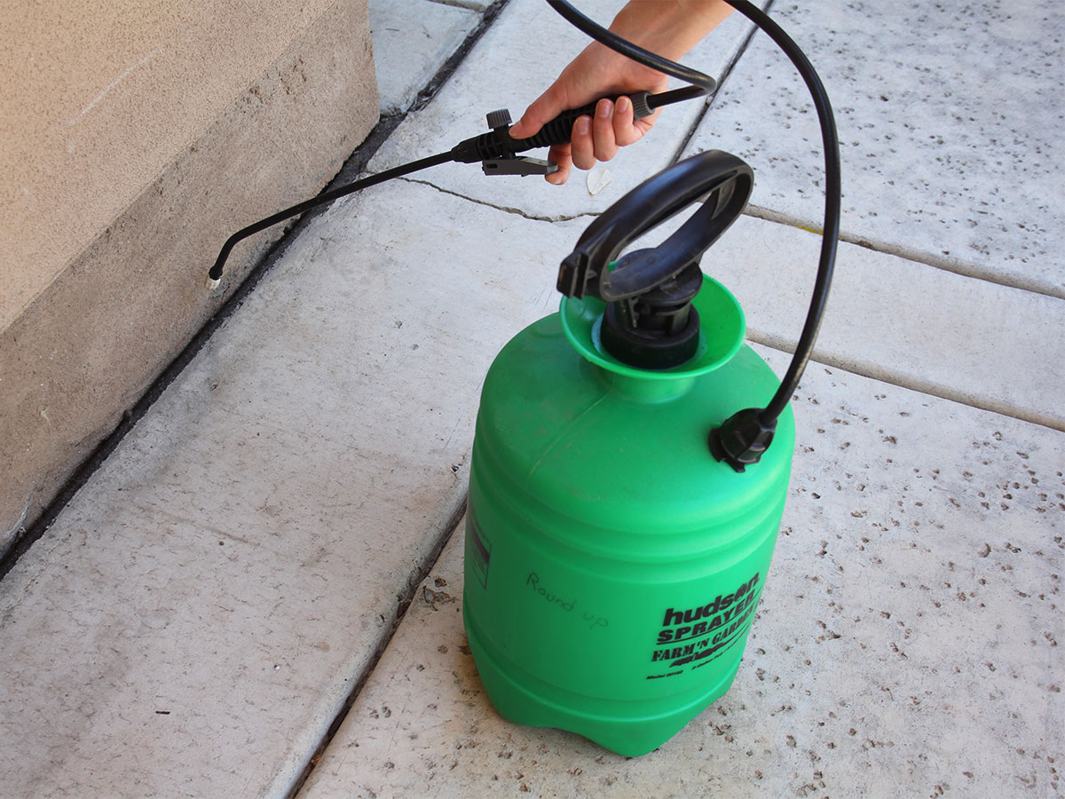 Spray for pest control around the home
