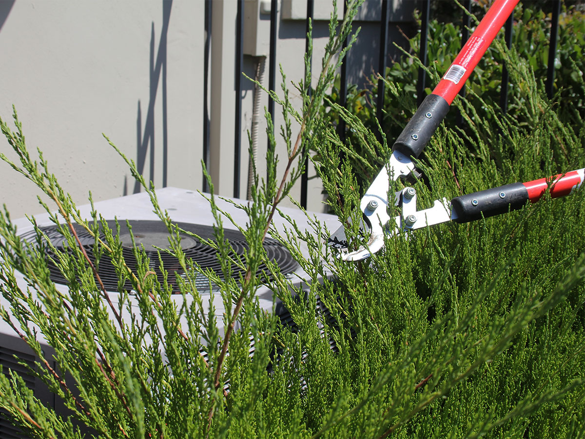 Trim shrubs around air conditioning units